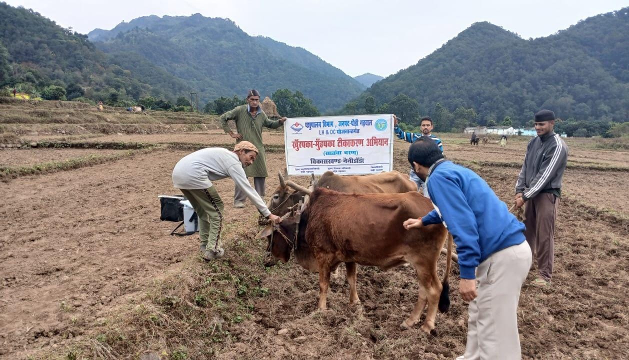 खुरपका-मुंहपका टीकाकरण अभियान में अब तक 58 प्रतिशत पशुओं का हुआ टीकाकरण
