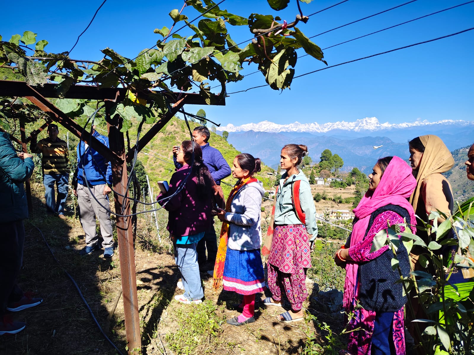 राज्य स्थापना रजत जयंती पर खिर्सू ब्लॉक में उद्यान विभाग द्वारा प्रशिक्षण कार्यक्रम आयोजित