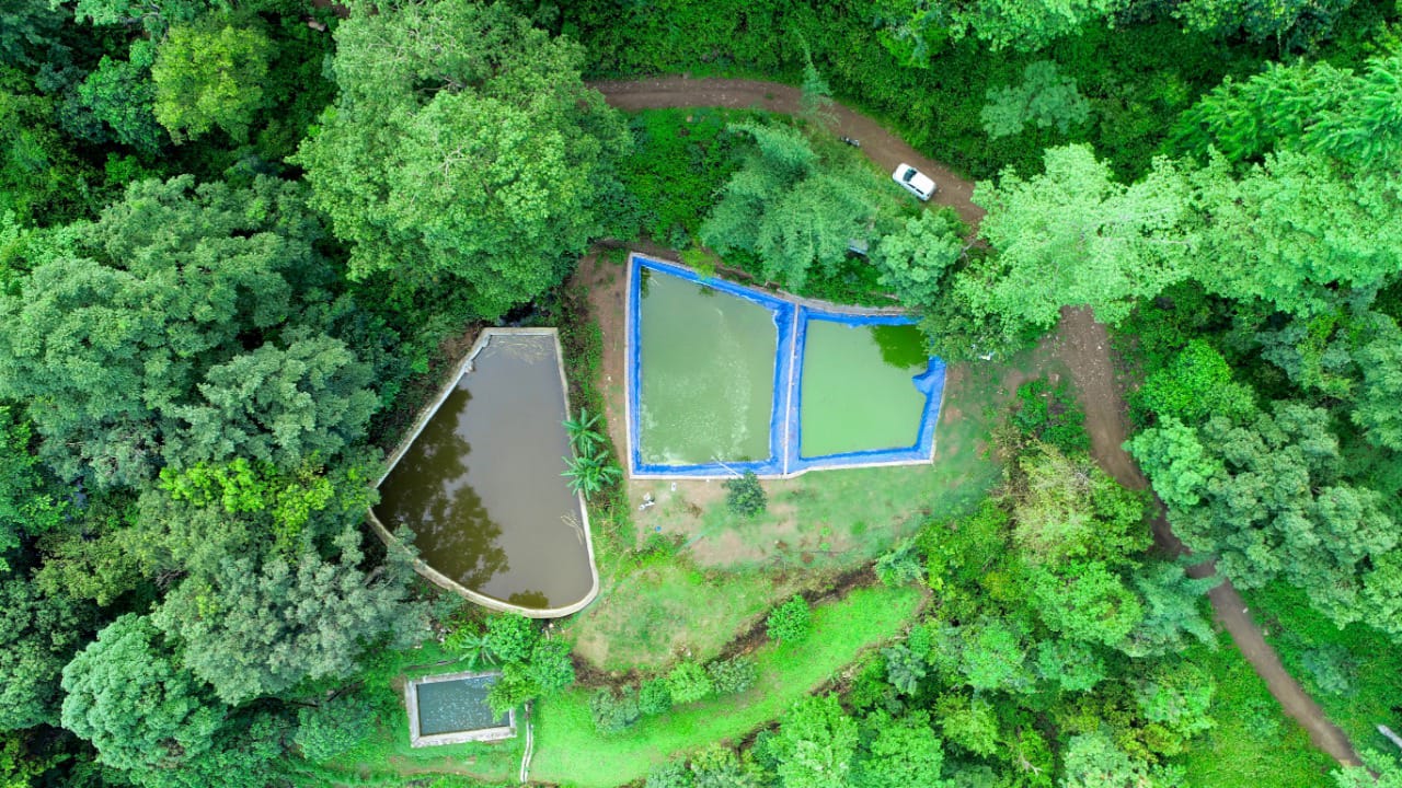 मत्स्य विभाग की पहल से पहाड़ में बढ़ रहा आधुनिक मत्स्य व्यवसाय